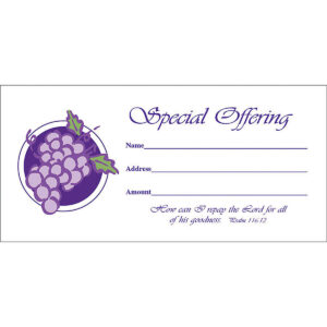 Special Offering Envelope (Bill size)