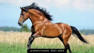 Horses 28 Month Planner 2021-2022