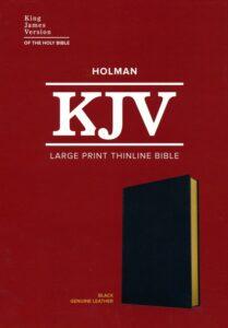 KJV, Thinline Bible, Genuine Leather, Black, Large Print