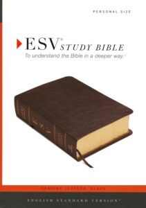 ESV, Study Bible, Personal Size, Genuine Leather, Black