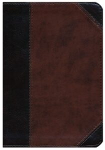 ESV, Compact Bible, Imitation Leather, TruTone Brown/Walnut, Large Print