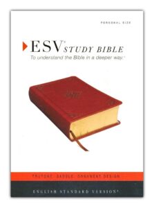 ESV, Personal Size Study Bible, Imitation Leather, TruTone Saddle with Ornament Design