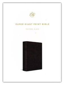 ESV, Bible, Imitation Leather, Black, Giant Print