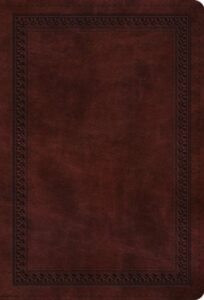 ESV, Compact Bible, Imitation Leather, TruTone Mahogany with Border Design, Large Print