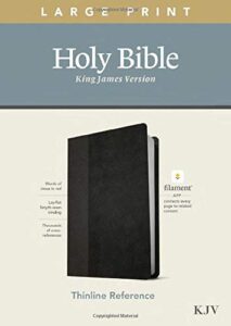 KJV, Thinline Reference Bible, Leatherlike, Black/Onxy, Large Print