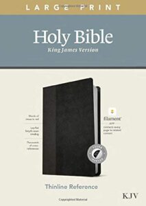 KJV, Thinline Reference Bible, Leatherlike, Black/Onyx, Large Print, Indexed