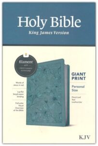 KJV, Personal-Size Giant-Print Bible, Filament Enabled Edition, Soft Leather, Teal