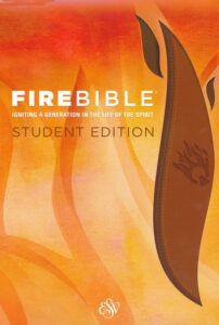 ESV, Fire Bible, Student Edition, Im Lea, Brass Brown/Chestnut