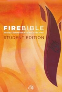 ESV, Fire Bible, Student Edition, Imitation Leather, Brick Red/Plum