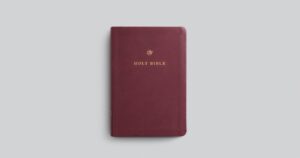 ESV, Gift and Award Bible, Imitation Leather, Burgundy