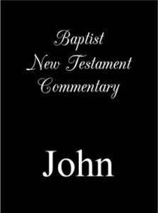 Baptist New Testament Commentary, John by Dr. Barry K. Carter