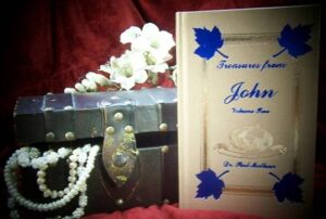 TREASURES FROM JOHN VOLUME TWO by Dr. Rod Mattoon