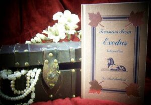 TREASURES FROM EXODUS VOLUME ONE by Dr. Rod Mattoon
