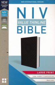 NIV, Value Thinline Bible, Leathersoft, Gray/Black, Large Print