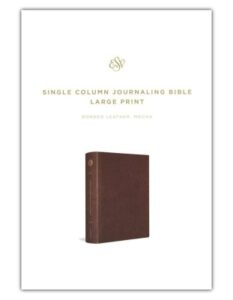 ESV, Single Column Journaling Bible, Imi Lea, Mocha, LP