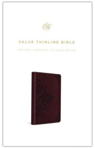ESV, Value Thinline Bible, Imitation Leather, Chestnut with Filigree Design