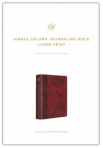 ESV, Single Column Journaling Bible, Imitation Leather, Burgundy with Timeless Design, LP