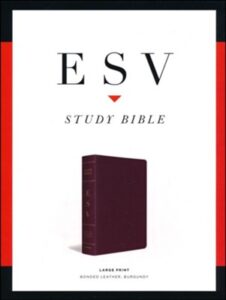 ESV, Study Bible, Bonded Leather, Burgundy, Large Print