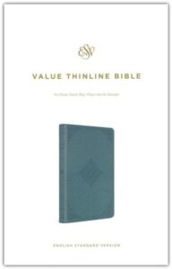 ESV, Value Thinline Bible, Imitation Leather, Paris Sky