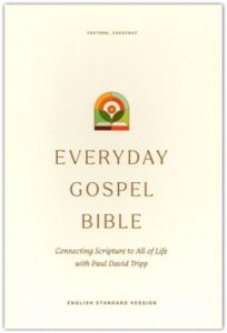 ESV, Everyday Gospel Bible, Imitation Leather, Chestnut