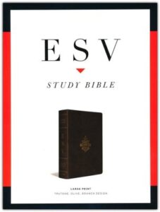 ESV, Study Bible, Imitation Leather, Olive, Large Print