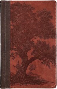 KJV, Standard Size Holy Bible, Vegan leather, Brown, Indexed, Giant Print