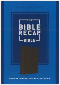 ESV, The Bible Recap Bible, Chronology Study Bible, Imitation Leather, Brown